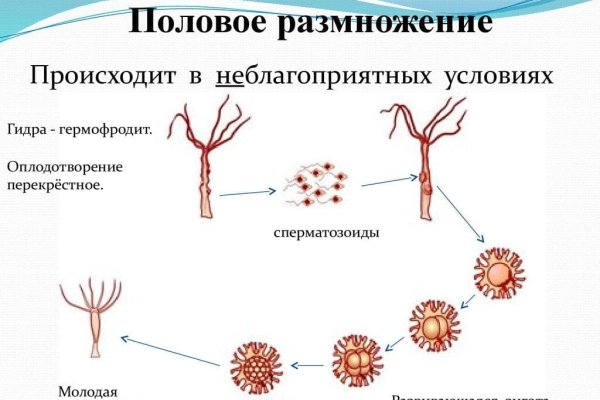 Кракен продает наркотики