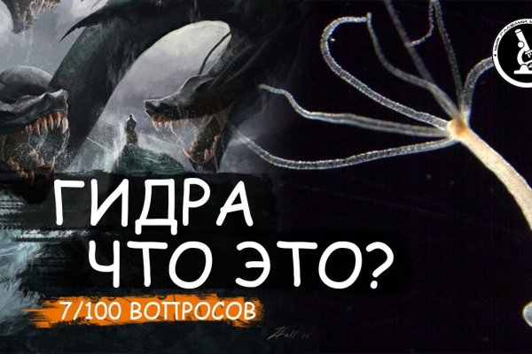 Как зарегистрироваться в кракен в россии